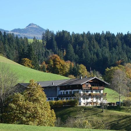 Ferienwohnung Lehenhof Hopfgarten im Brixental Dış mekan fotoğraf