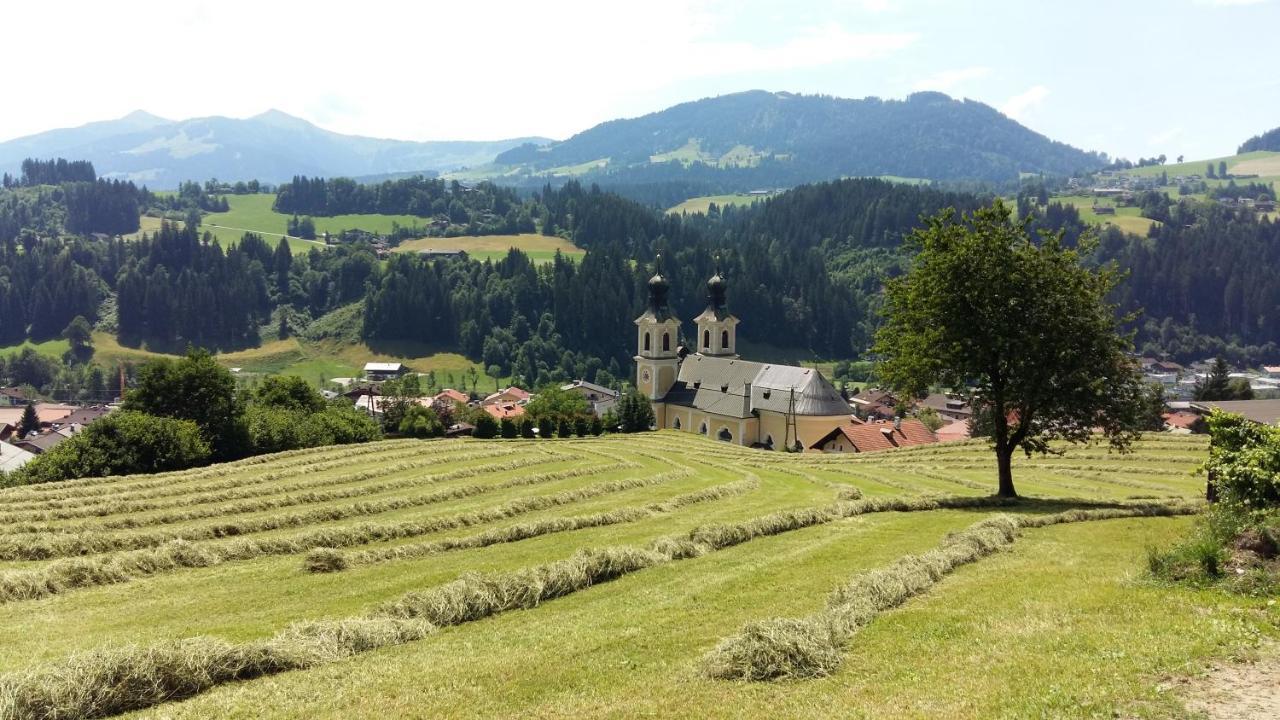Ferienwohnung Lehenhof Hopfgarten im Brixental Dış mekan fotoğraf