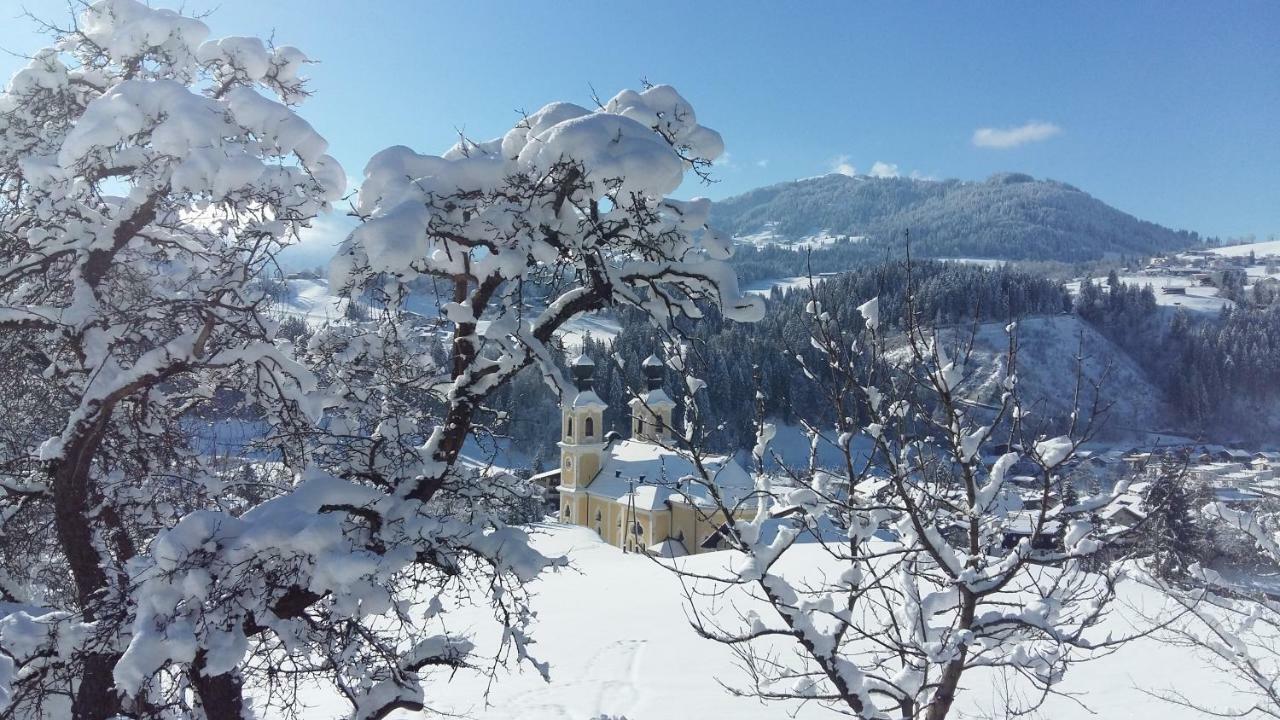 Ferienwohnung Lehenhof Hopfgarten im Brixental Dış mekan fotoğraf