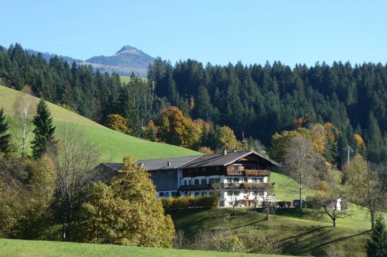 Ferienwohnung Lehenhof Hopfgarten im Brixental Dış mekan fotoğraf